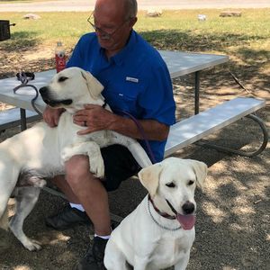 Meet your Posher, Sandy